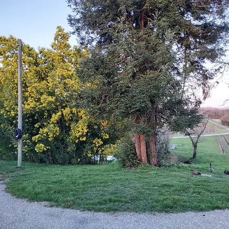 Domaine De Codeval * Fronton