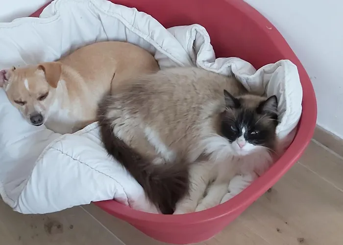 Domaine De Codeval Nocleg ze śniadaniem *