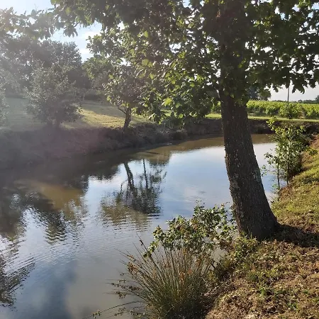 Domaine De Codeval Fronton