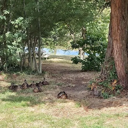 Domaine De Codeval Couette-café Fronton