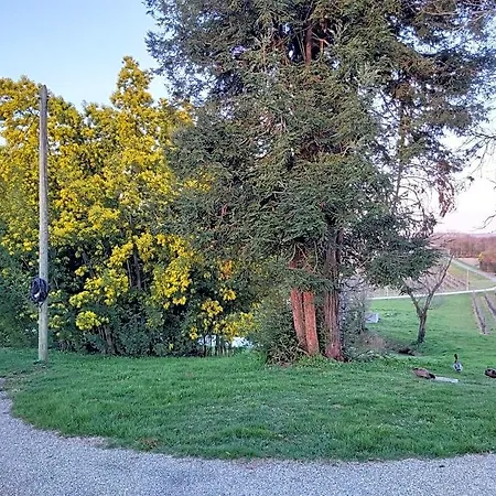 Bed & Breakfast Domaine De Codeval
