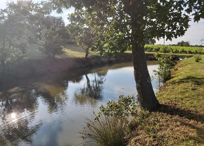 Domaine De Codeval Fronton