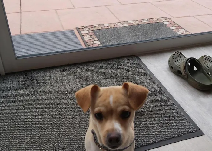 Domaine De Codeval Nocleg ze śniadaniem Fronton