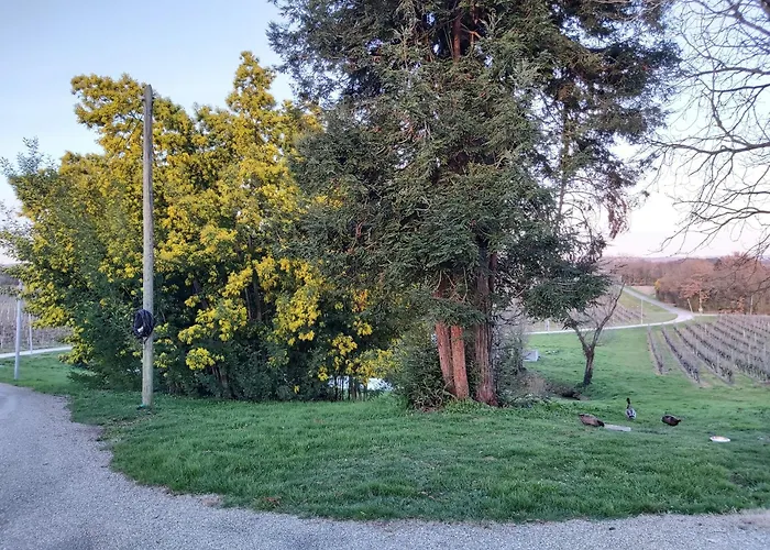 Domaine De Codeval * Fronton