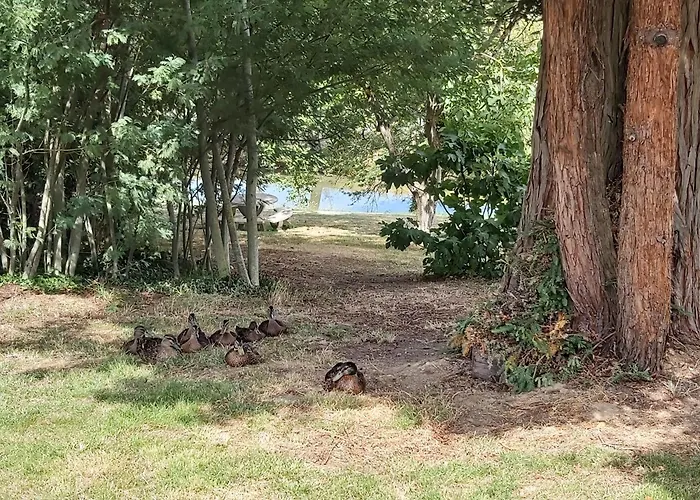 Domaine De Codeval Nocleg ze śniadaniem Fronton